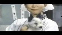 日本电影中文在线,穿越时空的浪漫邂逅