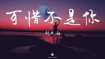 你走刘大壮在线播放