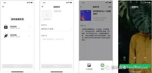 av直播QQ号,AV直播QQ号背后的秘密与魅力