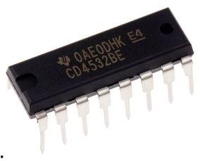 bee无码光碟,一场视觉与思想的盛宴