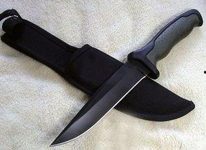 军刀全集在线观看,热血征程，铁血豪情