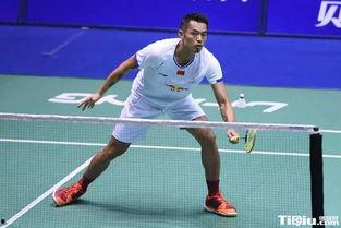 体育明星的励志故事,逆境中的奋斗与辉煌