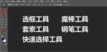 PPT-015无码 ed2k,ed2k链接背后的秘密解析