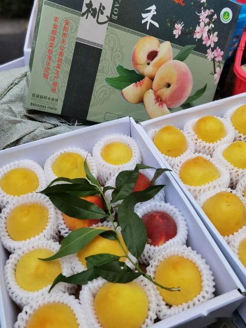 娱乐吃瓜的封面怎么做的